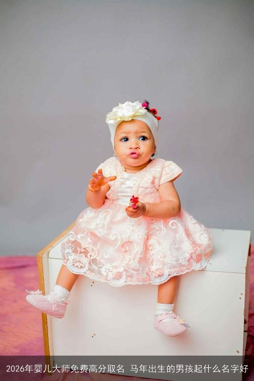 2026年婴儿大师免费高分取名 马年出生的男孩起什么名字好