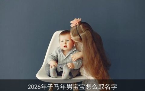 2026年子马年男宝宝怎么取名字
