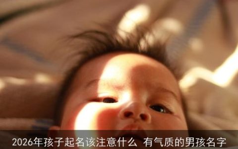 2026年孩子起名该注意什么 有气质的男孩名字