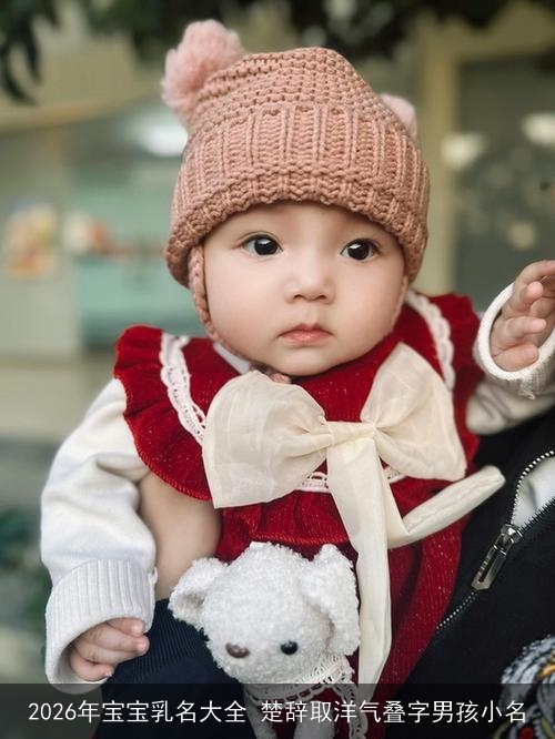 2026年宝宝乳名大全 楚辞取洋气叠字男孩小名