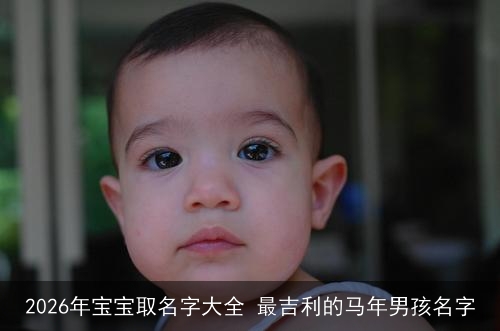2026年宝宝取名字大全 最吉利的马年男孩名字