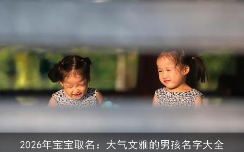 2026年宝宝取名：大气文雅的男孩名字大全