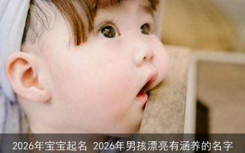 2026年宝宝起名 2026年男孩漂亮有涵养的名字