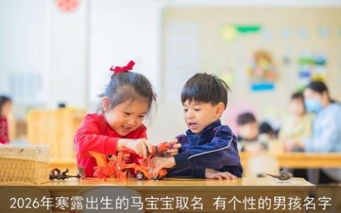 2026年寒露出生的马宝宝取名 有个性的男孩名字