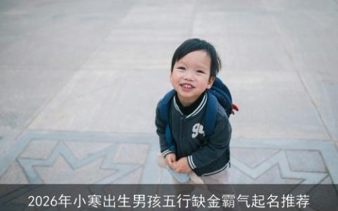 2026年小寒出生男孩五行缺金霸气起名推荐