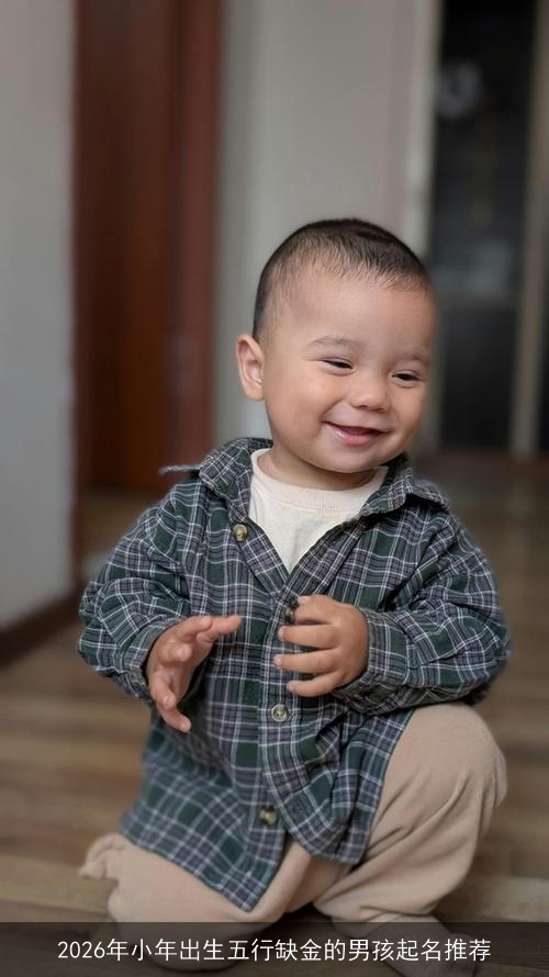 2026年小年出生五行缺金的男孩起名推荐