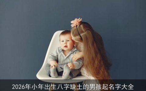 2026年小年出生八字缺土的男孩起名字大全