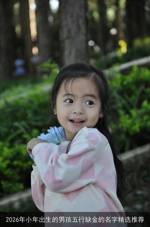 2026年小年出生的男孩五行缺金的名字精选推荐