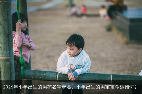 2026年小年出生的男孩名字起名，小年出生的男宝宝命运如何？