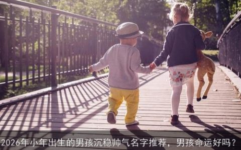 2026年小年出生的男孩沉稳帅气名字推荐，男孩命运好吗？