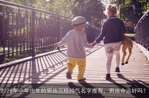 2026年小年出生的男孩沉稳帅气名字推荐，男孩命运好吗？