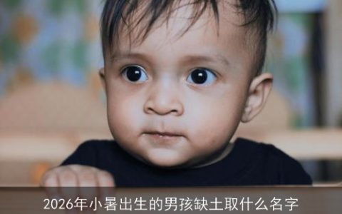2026年小暑出生的男孩缺土取什么名字