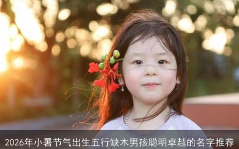 2026年小暑节气出生五行缺木男孩聪明卓越的名字推荐