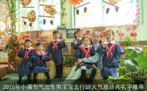 2026年小满节气出生男宝宝五行缺火气质非凡名字推荐