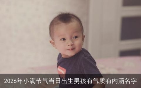 2026年小满节气当日出生男孩有气质有内涵名字