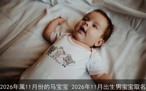 2026年属11月份的马宝宝 2026年11月出生男宝宝取名