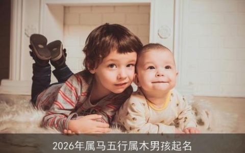 2026年属马五行属木男孩起名