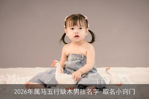 2026年属马五行缺木男孩名字 取名小窍门
