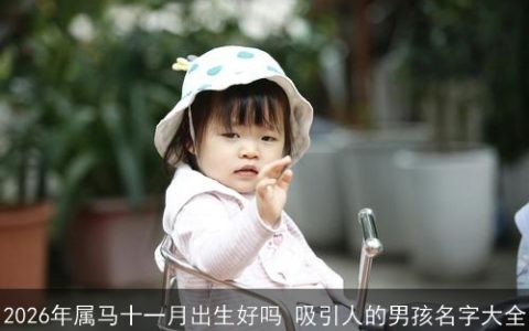 2026年属马十一月出生好吗 吸引人的男孩名字大全