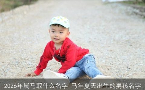 2026年属马取什么名字 马年夏天出生的男孩名字