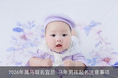 2026年属马取名宜忌 马年男孩起名注意事项