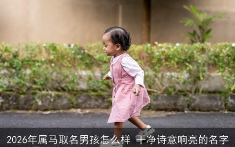 2026年属马取名男孩怎么样 干净诗意响亮的名字