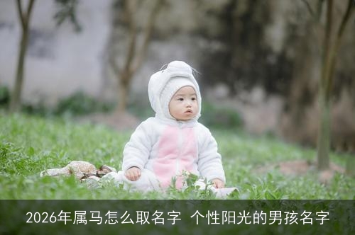 2026年属马怎么取名字 个性阳光的男孩名字