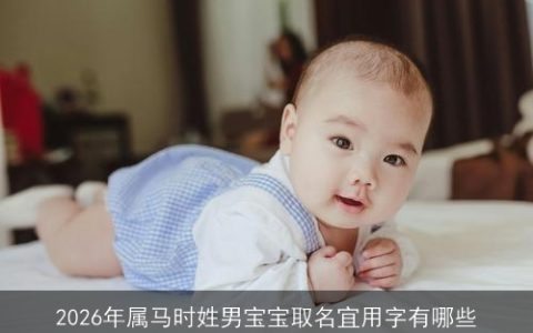 2026年属马时姓男宝宝取名宜用字有哪些