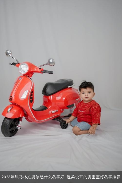 2026年属马林姓男孩起什么名字好 温柔悦耳的男宝宝好名字推荐