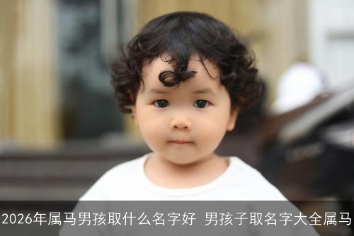 2026年属马男孩取什么名字好 男孩子取名字大全属马