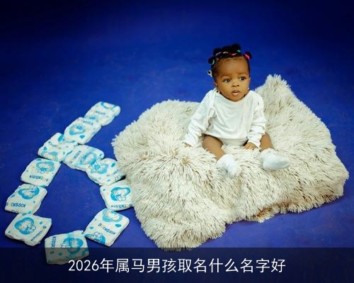 2026年属马男孩取名什么名字好