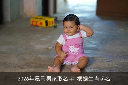 2026年属马男孩取名字 根据生肖起名