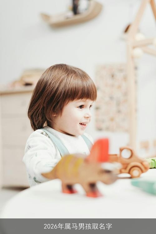 2026年属马男孩取名字