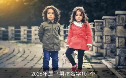 2026年属马男孩名字101个