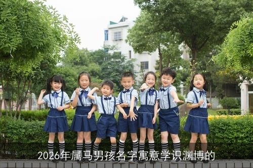2026年属马男孩名字寓意学识渊博的