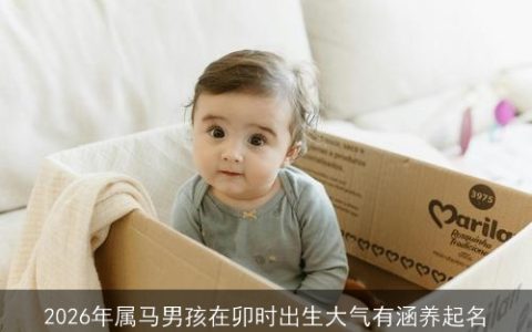 2026年属马男孩在卯时出生大气有涵养起名