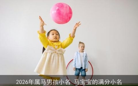 2026年属马男孩小名 马宝宝的满分小名