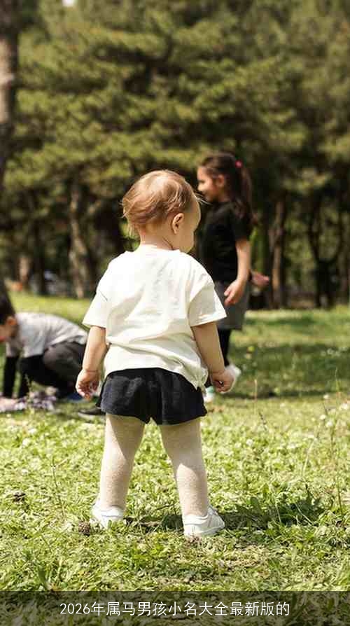 2026年属马男孩小名大全最新版的