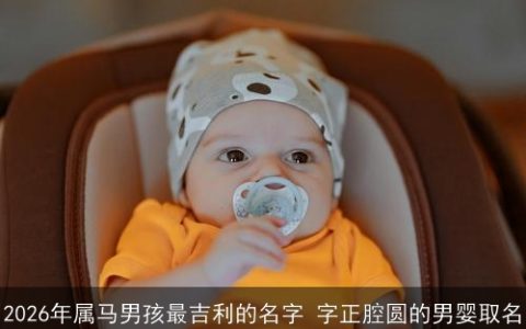 2026年属马男孩最吉利的名字 字正腔圆的男婴取名