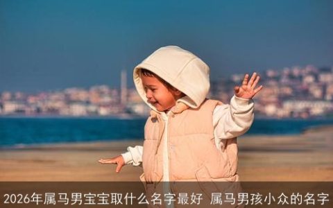 2026年属马男宝宝取什么名字最好 属马男孩小众的名字