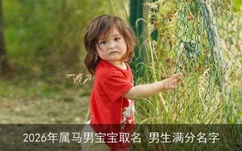 2026年属马男宝宝取名 男生满分名字