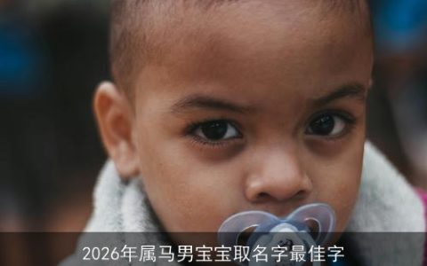 2026年属马男宝宝取名字最佳字