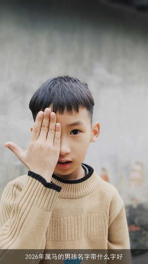 2026年属马的男孩名字带什么字好