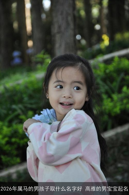 2026年属马的男孩子取什么名字好 高雅的男宝宝起名