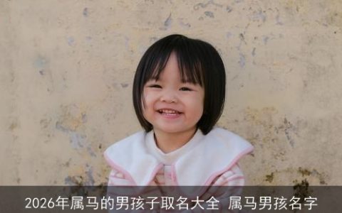 2026年属马的男孩子取名大全 属马男孩名字