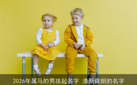 2026年属马的男孩起名字 清新爽朗的名字