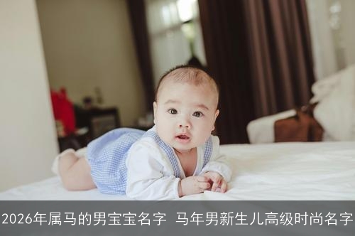 2026年属马的男宝宝名字 马年男新生儿高级时尚名字