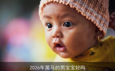 2026年属马的男宝宝好吗