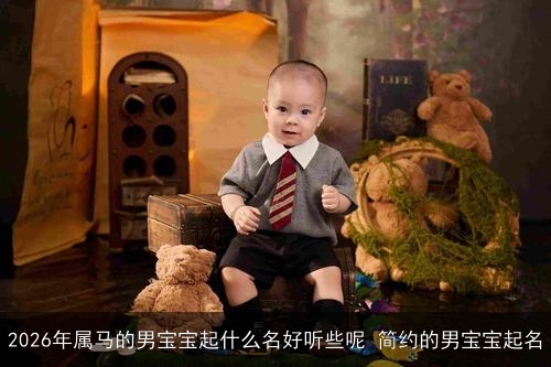 2026年属马的男宝宝起什么名好听些呢 简约的男宝宝起名