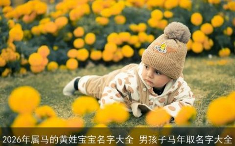 2026年属马的黄姓宝宝名字大全 男孩子马年取名字大全